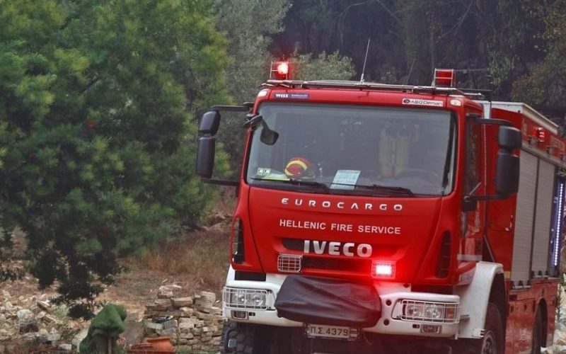 Συναγερμός στην Ανάβυσσο: Άμεση επέμβαση της Πυροσβεστικής περιόρισε φωτιά σε αγροτοδασική έκταση