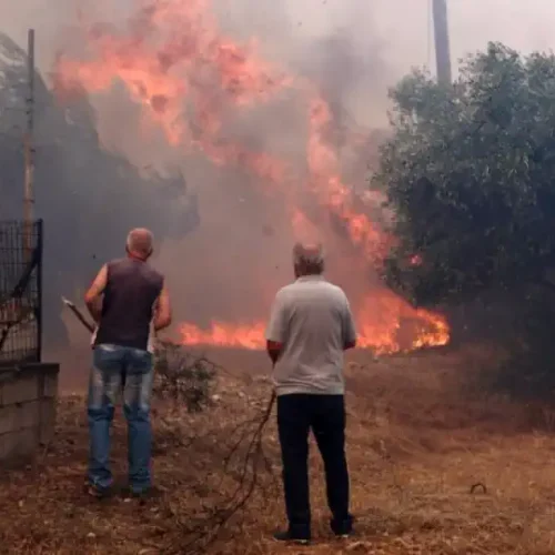 Βένιζα Μεγάρων: Στάχτη σπίτια και περιουσίες – Αγωνία για αγνοούμενο κτηνοτρόφο