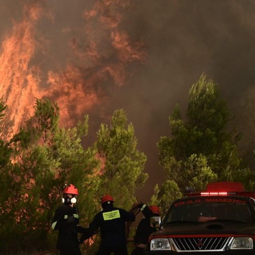 Βόλος – Συναγερμός στην Πυροσβεστική για φωτιά μεταξύ Διμηνίου και Σέσκλου