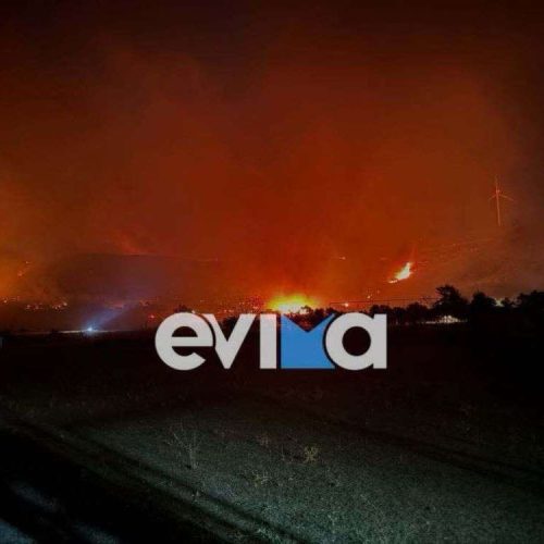 Φωτιά σε δασική έκταση στην Κάρυστο – Δύσβατο το σημείο