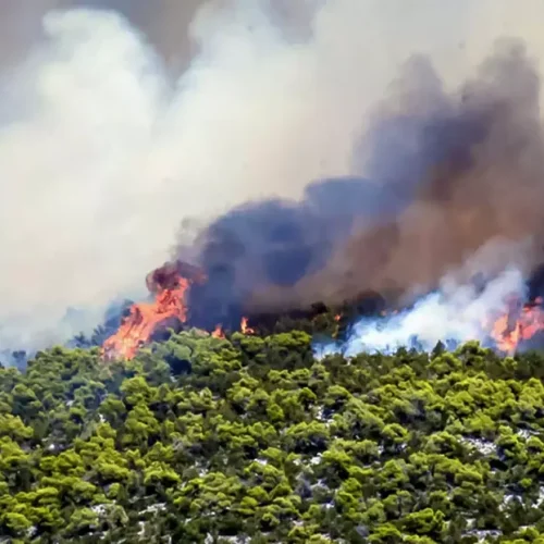 Φωτιά στην Βόρεια Εύβοια – Καίει ξερά χόρτα και καλαμιές
