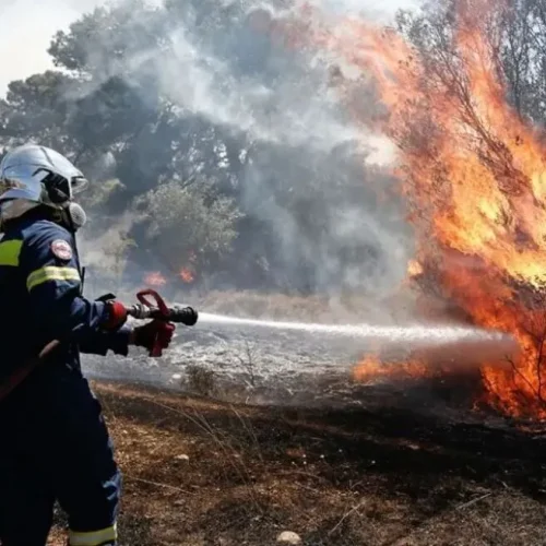 «Συναγερμός» στην Ζάκυνθο: Φωτιά καίει αγροτοδασικές εκτάσεις – Μεγάλη κινητοποίηση της Πυροσβεστικής