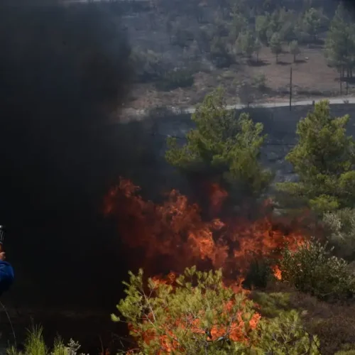 Συναγερμός στα Χανιά: Μεγάλη φωτιά στον Αποκόρωνα – Μήνυμα 112 στους κατοίκους