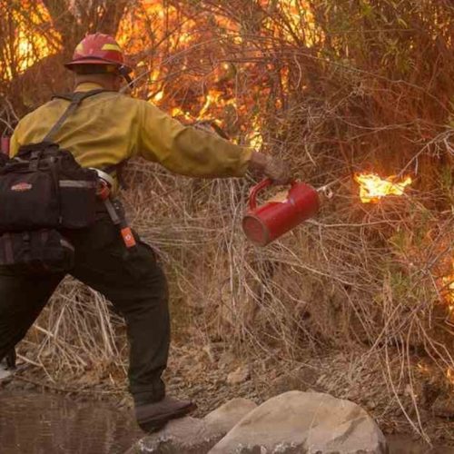 Σπάνια τεχνική αντιπυρικής μάχης εφαρμόστηκε στη Ζάκυνθο