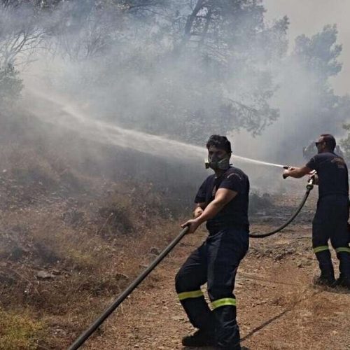 «Θα ζούμε με τις φωτιές» – Το τρομακτικό μέλλον που περιγράφει ο καθηγητής