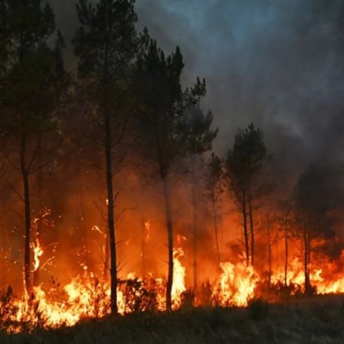 Υπό μερικό έλεγχο τα πύρινα μέτωπα στη Γαλλία
