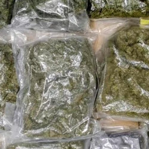 Σκιάθος: Σύλληψη 68χρονου με 13 κιλά ακατέργαστης κάνναβης – Τα παρέλαβε σε βαλίτσες από σκάφος
