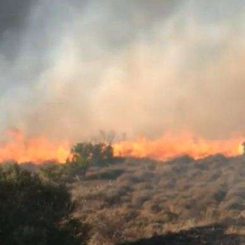 Ηλεία: Υπό έλεγχο η φωτιά στο Βελανίδι