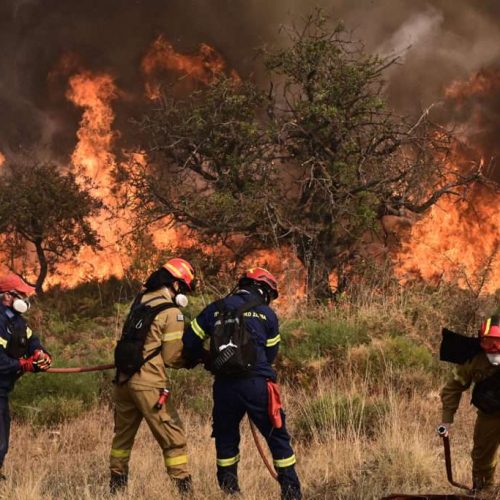 «ΣΥΝΑΓΕΡΜΟΣ»: ΦΩΤΙΑ στις Νεραντζιές Αιγίου – Ήχησε το 112!