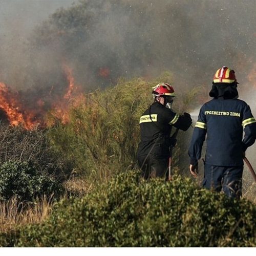 Φωτιά στην περιοχή της Θέρμης στη Θεσσαλονίκη