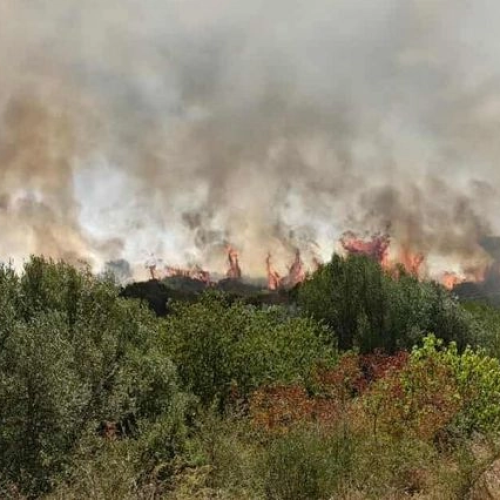 Φωτιές σε Ευρυτανία και Καστοριά – Πώς διαμορφώνεται το «μέτωπο της φωτιάς»;