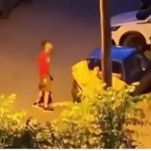 Θεσσαλονίκη: Ελεύθερος ο 34χρονος που «σκότωσε» γατάκι