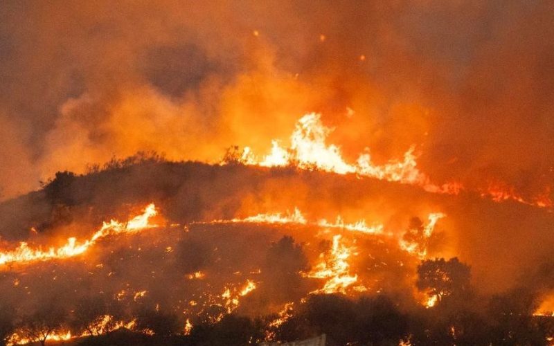 Εκτός ελέγχου οι δασικές πυρκαγιές σε Γαλλία και Ισπανία
