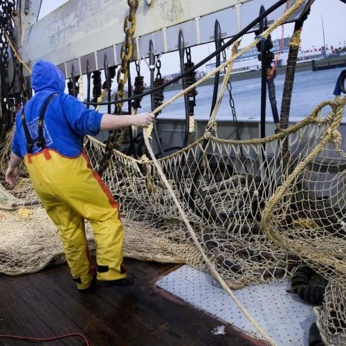 Ηλεκτρικό σοκ στους ωκεανούς: Πώς η παλμική αλιεία καταστρέφει το θαλάσσιο οικοσύστημα ( Βίντεο )