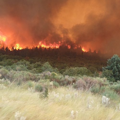 Κίνδυνος Πυρκαγιάς – Ποιες περιοχές είναι στο «ΚΟΚΚΙΝΟ»;