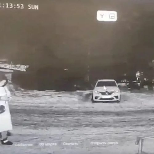 ΦΡΙΚΗ! Αρκούδα Κατασπάραξε Γυναίκα – Το Κεφάλι της Βρέθηκε Κομμένο