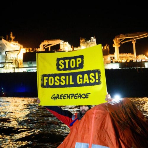 Ιστορική Καταδίκη: Πρόστιμο 660 Εκατ. στους «Οικο-Τρομοκράτες» της Greenpeace για Καταστροφές