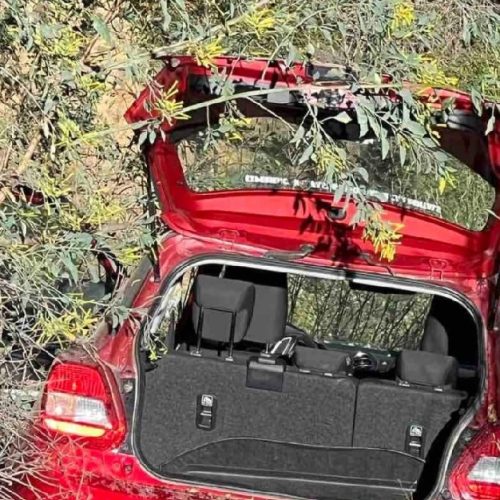 Αυτοκίνητο με «επιβάτες» γιαγιά και εγγονάκι έπεσε σε γκρεμό – Μόλις είχε πάρει το παιδάκι από το σχολείο