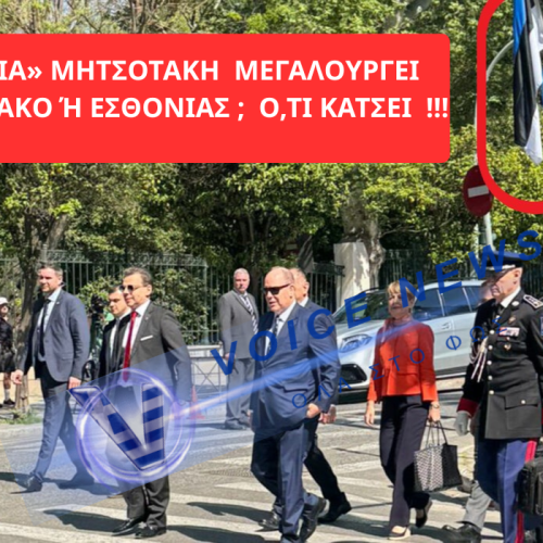 ΜΠΕΡΔΕΨΑΝ  ΤΟ ΜΟΝΑΚΟ ΜΕ ΤΗΝ ΕΣΘΟΝΙΑ: Η «ΑΡΙΣΤΕΙΑ» ΤΩΝ ΕΠΙΤΕΛΕΙΩΝ ΕΚΘΕΤΕΙ ΤΗ ΧΩΡΑ
