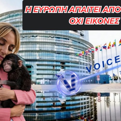 Η Ελεωνόρα Μελέτη στην Ευρωβουλή: Αντί για θεσμική παρουσία μια πολιτική διάσημη σκιά