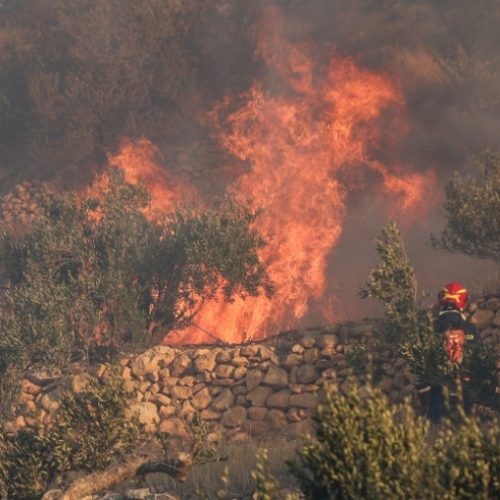«ΝΕΟΤΕΡΕΣ ΠΛΗΡΟΦΟΡΙΕΣ» για τη «ΦΩΤΙΑ» στα Λεχαινά