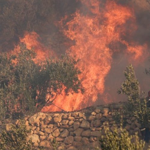 «230 πυροσβέστες» στη μάχη με τις φλόγες στην Ιεράπετρα