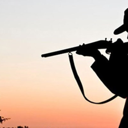 Τραγωδία στο Πήλιο: Βρέθηκε νεκρός κυνηγός σε πλαγιά