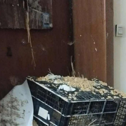 Ροδόπη: Αγρότες και κτηνοτρόφοι άφησαν βαμβάκι και σανό στο γραφείο βουλευτή της ΝΔ