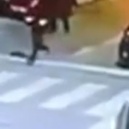 Θεσσαλονίκη: Δύο τραύματα από μαχαίρι στον δολοφονημένο 20χρονο οπαδό – Συνεχίζεται το ανθρωποκυνηγητό