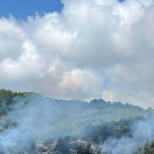 Θετικές εξελίξεις από το μέτωπο της Ηλείας: Χωρίς απειλή για οικισμούς η φωτιά στο Λέπρεο