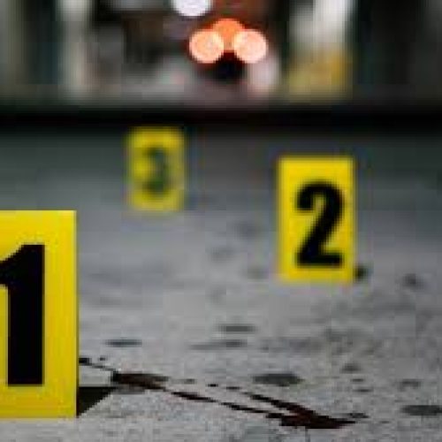 Θρίλερ με έξι νεκρούς – Σενάρια δολοφονίας και σκοτεινά ερωτήματα