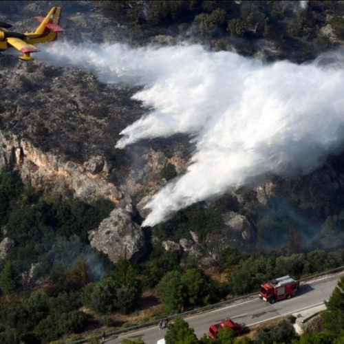 Πυροσβεστική: 48 αγροτοδασικές πυρκαγιές μέσα σε ένα 24ωρο