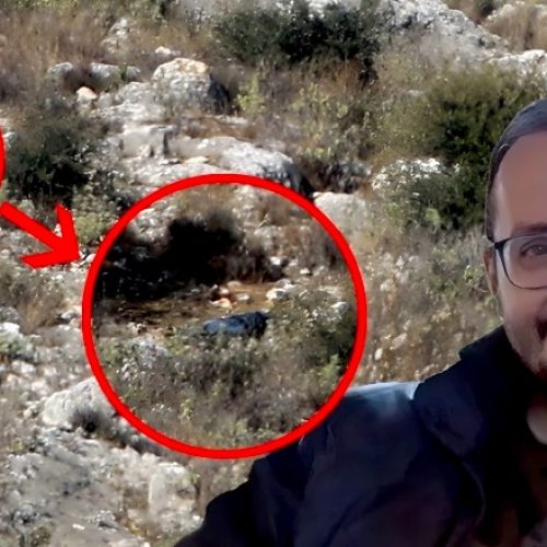 Παραδόθηκε η ιατροδικαστική έκθεση της «Υπόθεσης Βασίλη Καλογήρου»