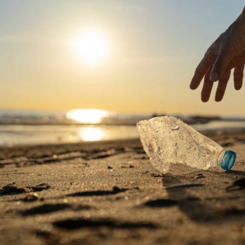 Volunteer man and plastic bottle, clean up day, collecting waste on sea beach, pollution and recycling concept