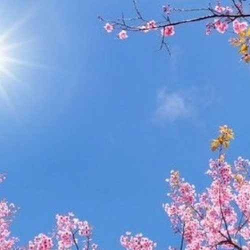 ΚΑΙΡΟΣ: Καλοκαιριάζει σήμερα  – Πού θα έχουμε έως και 29°C