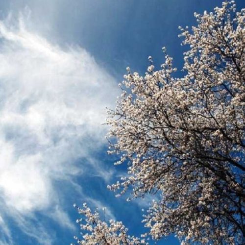 Συνεχίζεται το ανοιξιάτικο σκηνικό του καιρού: Εως 27°c και στο βάθος αστάθεια