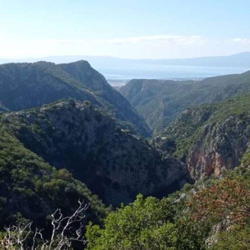Καλαμάτα: 13 οικισμοί θωρακίζονται με αντιπυρικές ζώνες