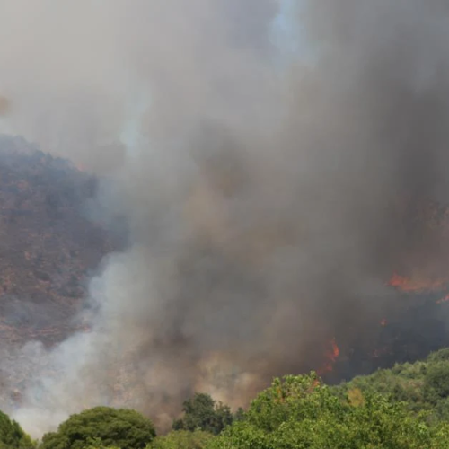 Συγκλονίζουν οι εικόνες – Το Λιβάδι Καλαβρύτων τυλίγεται στις φλόγες – Σενάρια εμπρησμού