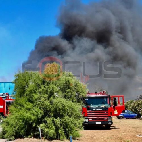 Φωτιά στο Καλοχώρι: Συνελήφθη 70χρονος για πρόκληση πυρκαγιάς από αμέλεια