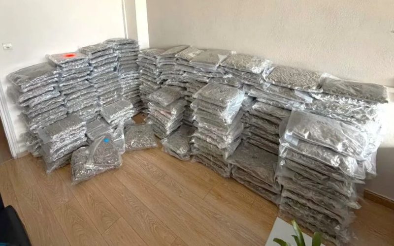 Συνελήφθη 36χρονος που εισήγαγε και μετέφερε πάνω από 300 κιλά κάνναβης υδροπονικής καλλιέργειας (skunk) στην Ελλάδα από την Ισπανία (ΒΙΝΤΕΟ)