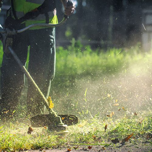 Πότε λήγει η προθεσμία για τα ακαθάριστα οικόπεδα – Τι πρέπει να ξέρουν οι ιδιοκτήτες