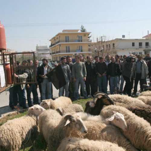 Παγκρήτια συνάντηση κτηνοτρόφων στο Ρέθυμνο και γενικές συνελεύσεις με το «βλέμμα» στο συλλαλητήριο