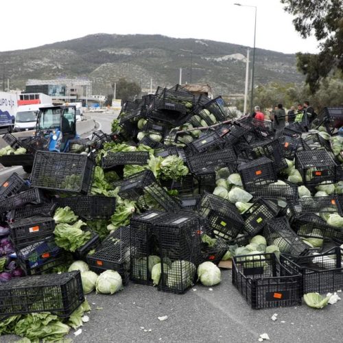 Βαρύ το «ποινικό μητρώο» του οδηγού με τα λάχανα στην Αθηνών – Είχε γεμίσει τον Κηφισό πορτοκάλια