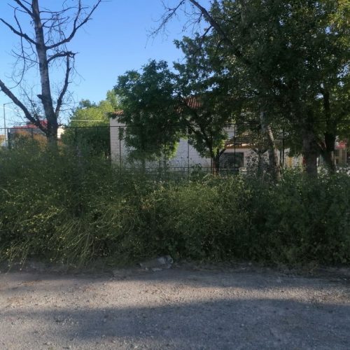 “ΠΑΙΔΕΙΑ – ΩΡΑ ΜΗΔΕΝ” : Εξαγριωμένοι γονείς για επικίνδυνη “ΖΟΥΓΚΛΑ” – “κολλητά” ΣΕ ΣΧΟΛΕΙΟ – “ΤΡΩΚΤΙΚΑ ΚΑΙ ΦΙΔΙΑ”!  τους θέτουν σε κατάσταση συναγερμού!