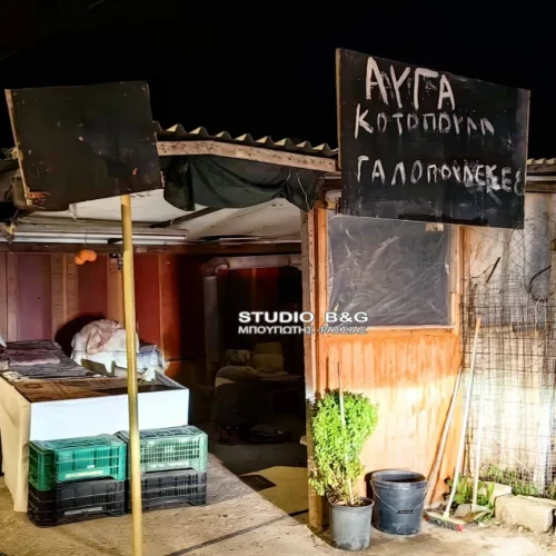 Φωτογραφία: argolikeseidhseis.gr