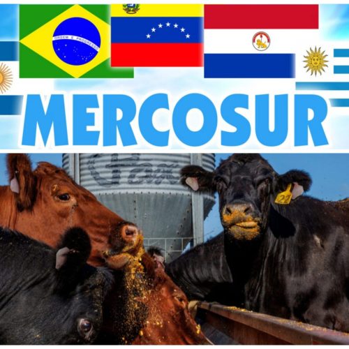 Συμφωνία Mercosur: ποιος κερδίζει πραγματικά από την κατάργηση των δασμών