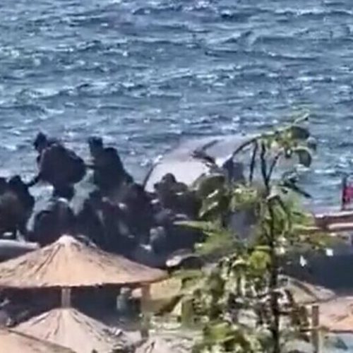 Θρασύτατη αποβίβαση λάθρο στη Ρόδο – Εκεί όπου ετοιμάζονται να υποδεχθούν τουρίστες με ανοιχτες ομπρέλες (Βίντεο)