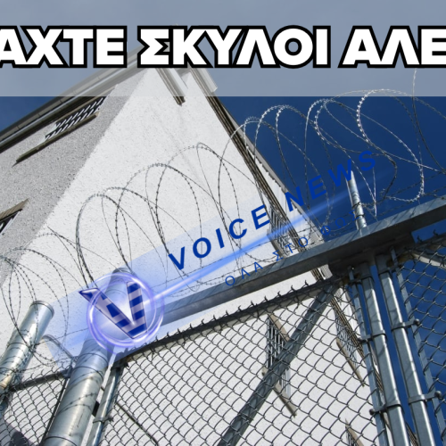 ΟΠΛΑ ΠΙΣΩ ΑΠΟ ΤΑ ΚΑΓΚΕΛΑ: ΤΟ ΧΡΟΝΙΚΟ ΤΩΝ ΕΥΡΗΜΑΤΩΝ ΣΤΙΣ ΕΛΛΗΝΙΚΕΣ ΦΥΛΑΚΕΣ