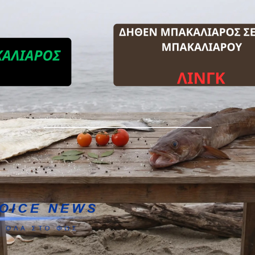 Μπακαλιάρος ή ..Λινγκ; Το «ΚΟΛΠΟ» που αδειάζει την τσέπη του καταναλωτή 