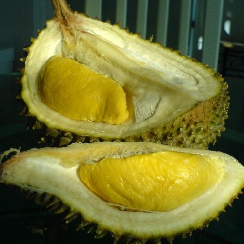 «Hermès του durian»: δολάρια από την όρεξη δισεκατομμυρίων δολαρίων της Κίνας